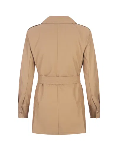 Shop Max Mara Light Brown Pacos Jacket In Leather Brown