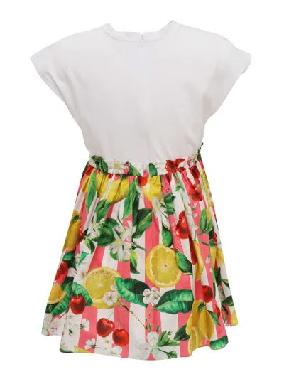 Dolce & Gabbana D&g Colorful Dress In Multicolor