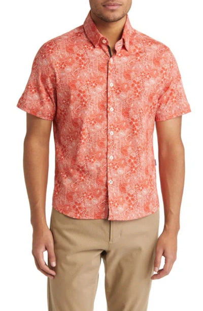 Stone Rose Jungle Print Short Sleeve Button-up Shirt In Orange