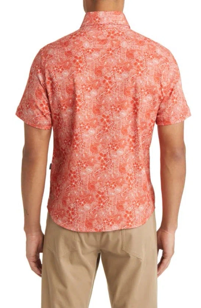 Stone Rose Jungle Print Short Sleeve Button-up Shirt In Orange
