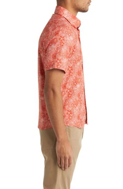Stone Rose Jungle Print Short Sleeve Button-up Shirt In Orange