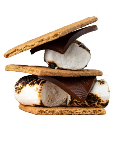 Astor Chocolate Ultimate S'mores Kit Family Pack, 15.8 oz In No Color