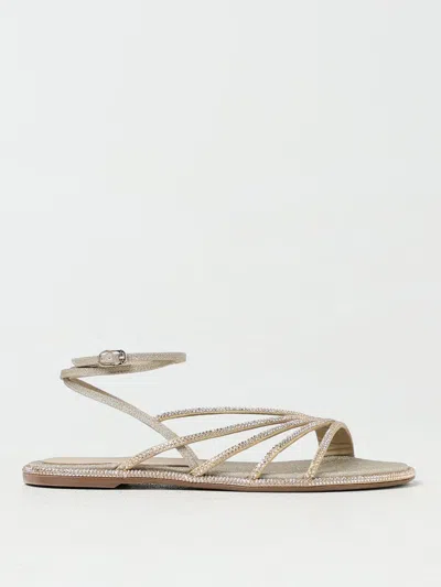 Shop Le Silla Heeled Sandals  Woman Color Gold