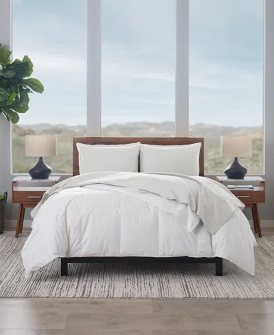 Ella Jayne 1200 Thread Count 100% Cotton Sateen 4-pc. Sheet Set, King In Platinum