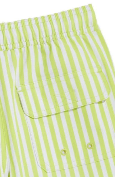 Vineyard Vines Kids' Chappy Crab Print Swim Trunks In Slim Stp Wild Lime