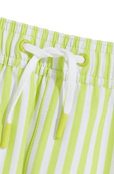 Vineyard Vines Kids' Chappy Crab Print Swim Trunks In Slim Stp Wild Lime