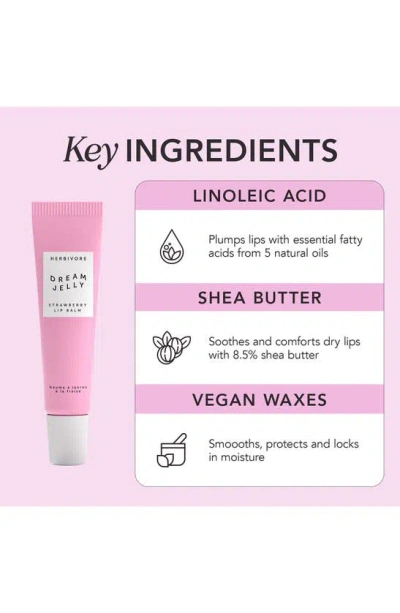 Herbivore Botanicals Dream Jelly Strawberry Lip Balm
