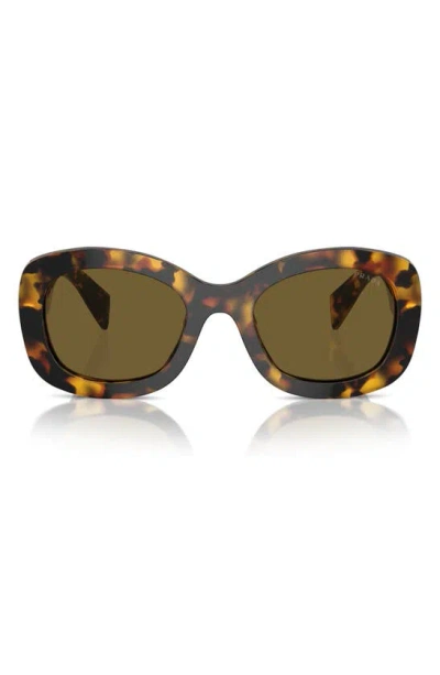 Shop Prada 55mm Oval Sunglasses In Dark Brown