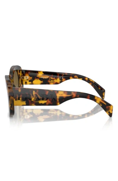 Shop Prada 55mm Oval Sunglasses In Dark Brown