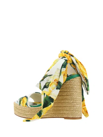 Shop Dolce & Gabbana Sandals In Rose Giallo F.bco