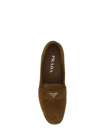Shop Prada Loafers In Tabacco