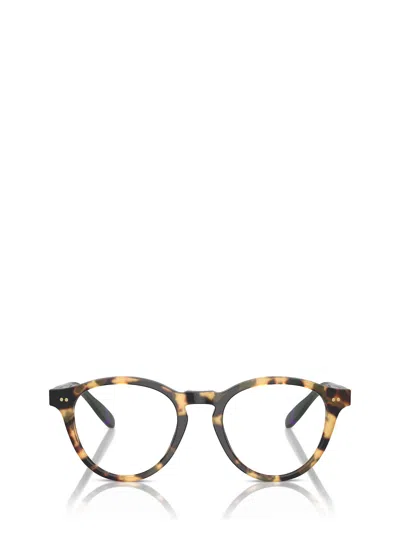 Shop Polo Ralph Lauren Ph2268 Havana Glasses
