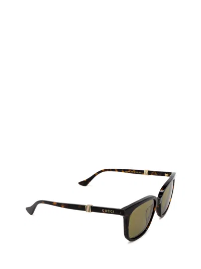Shop Gucci Gg1493s Havana Sunglasses