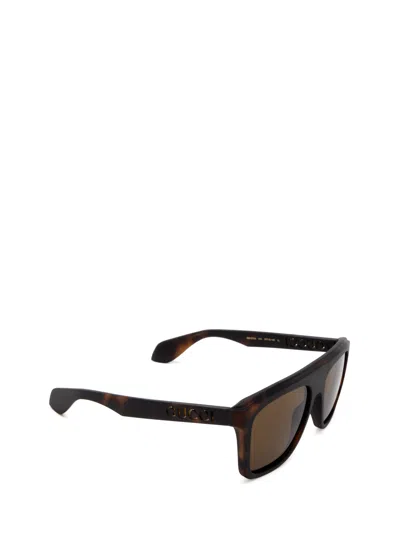 Shop Gucci Gg1570s Havana Sunglasses