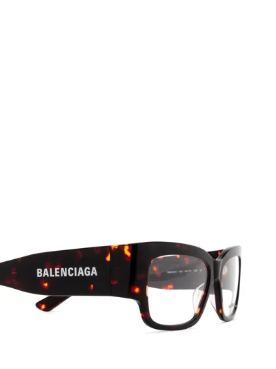 Shop Balenciaga Bb0332o Havana Glasses