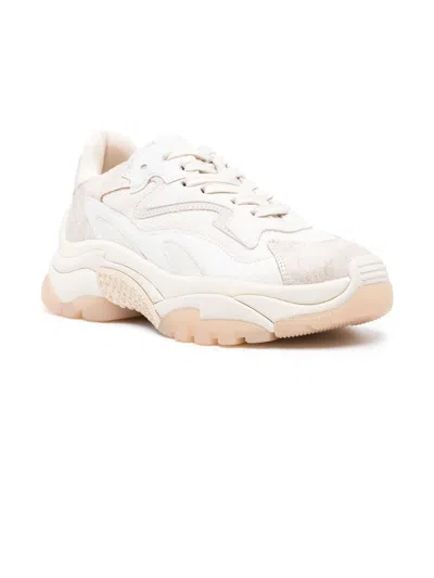 Shop Ash Cream White Suede Sneakers In Beige