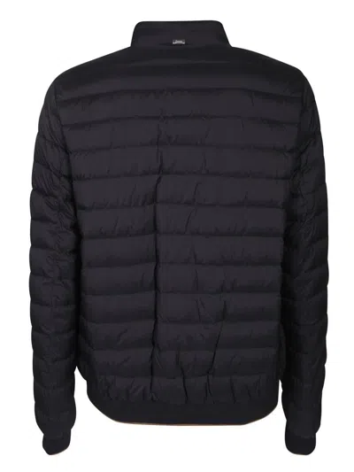 Shop Herno Down Jackets In Multi