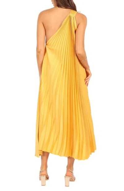 Petal And Pup Petal & Pup Cali Pleated One-shoulder Maxi Dress In Pattern