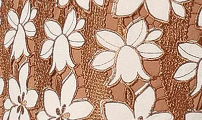 Petal And Pup Petal & Pup Pierre Floral Long Sleeve Lace Midi Dress In Brown