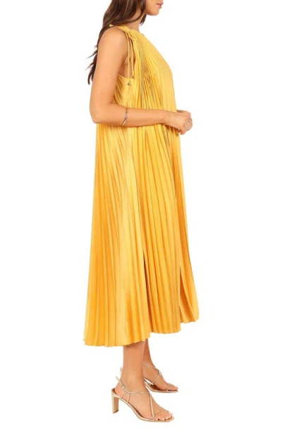 Petal And Pup Petal & Pup Cali Pleated One-shoulder Maxi Dress In Pattern