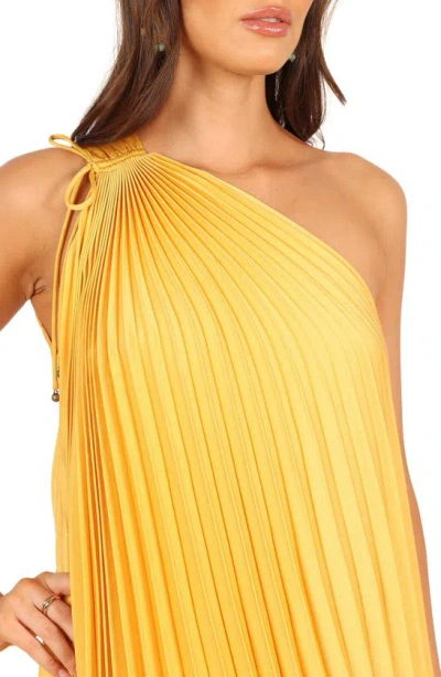 Petal And Pup Petal & Pup Cali Pleated One-shoulder Maxi Dress In Pattern