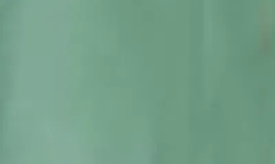 Braveman Premium Slim Fit 3-piece Suit In Mint