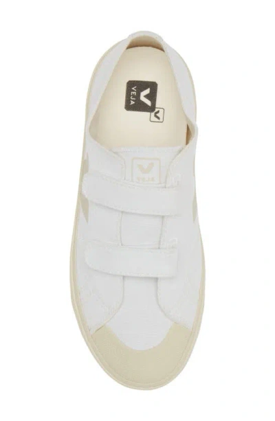 Shop Veja Kids' Small Ollie Sneaker In White/ Pierre