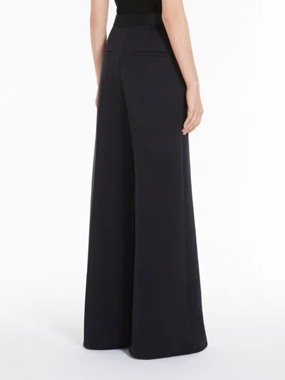 Max Mara Zinnia Pleat Detailed High Waist Pants In Black