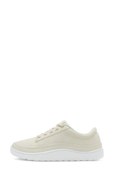 Allbirds Pacer Sneaker In Natural White/ Blizzard