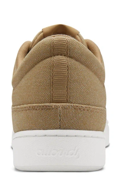 Allbirds Pacer Sneaker In Hazy Beige/ Blizzard