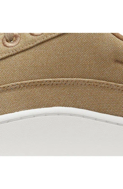 Allbirds Pacer Sneaker In Hazy Beige/ Blizzard