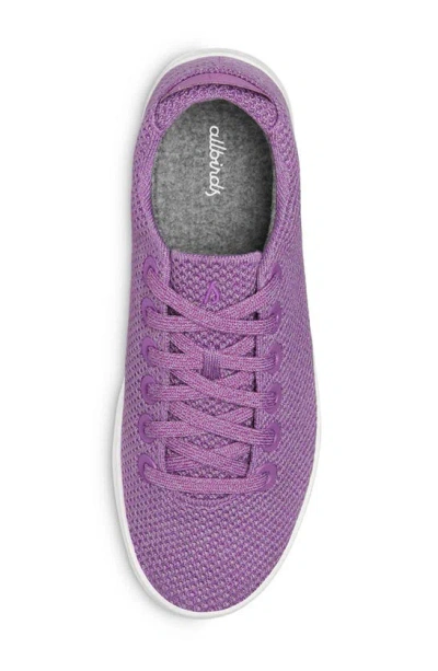 Shop Allbirds Tree Piper Knit Sneaker In Lux Purple/ Blizzard