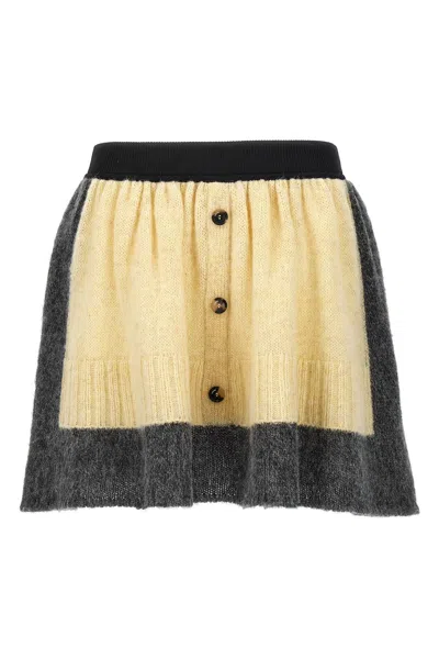 Shop Loewe Women Two-tone Miniskirt In Multicolor