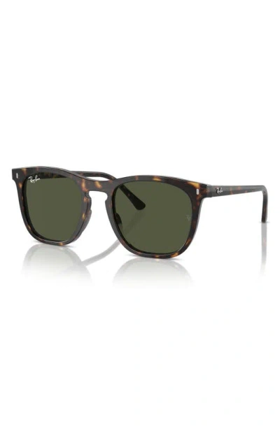 Ray Ban 53mm Polarized Square Sunglasses In Havana