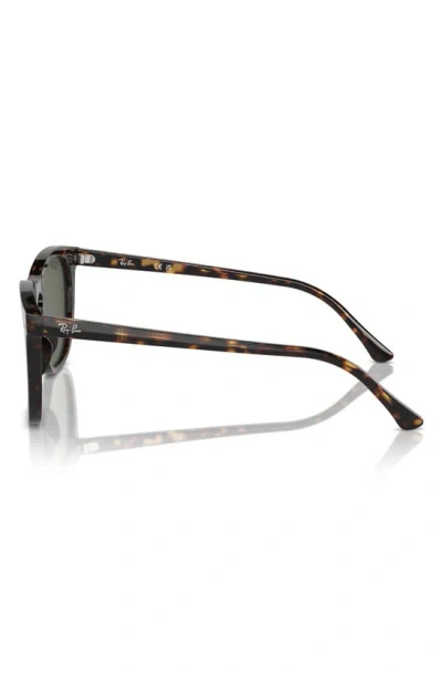 Ray Ban 53mm Polarized Square Sunglasses In Havana