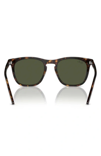 Ray Ban 53mm Polarized Square Sunglasses In Havana