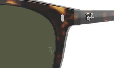 Ray Ban 53mm Polarized Square Sunglasses In Havana