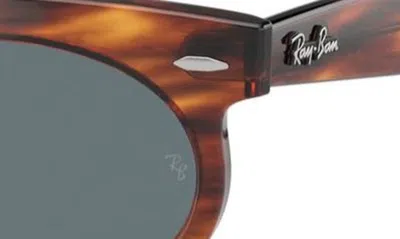 Ray Ban Wayfarer Transitions 50mm Oval Sunglasses In Striped Havana