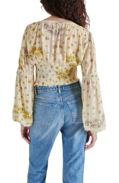 Steve Madden Leilani Floral Plunge Neck Crop Top In Ivory Multi