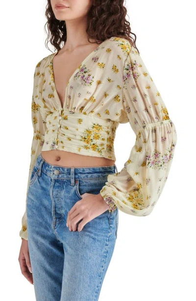 Steve Madden Leilani Floral Plunge Neck Crop Top In Ivory Multi