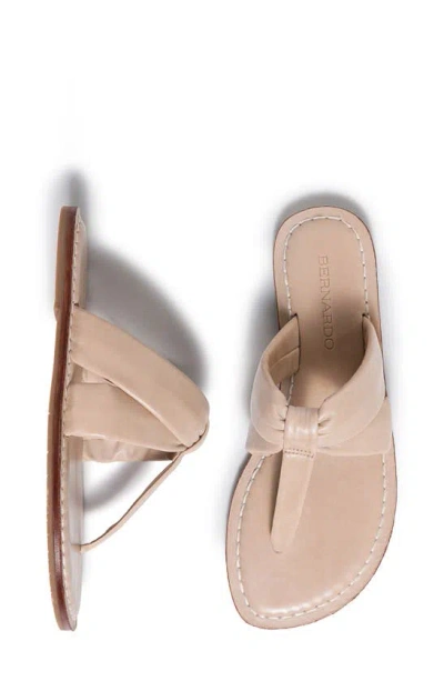 Shop Bernardo Footwear Margaret Sandal In Blush