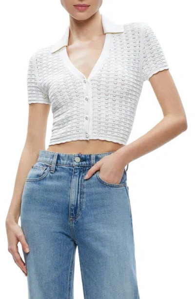 Shop Alice And Olivia Linda Crop Pointelle Polo Sweater In Soft White