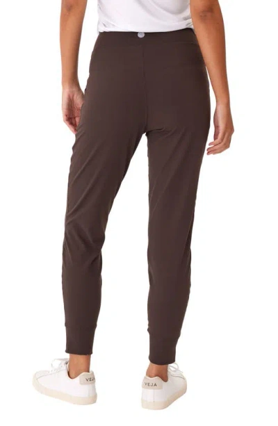 Shop Threads 4 Thought Lydia Joggers In Espresso