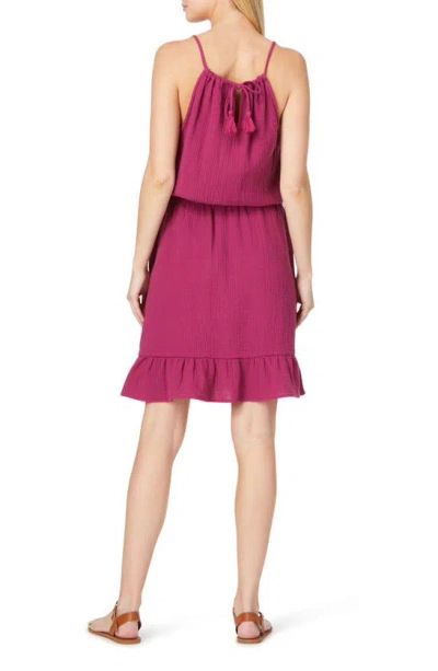 Shop C&c California C & C California Kaelyn Gauze Dress In Raspberry Coulis