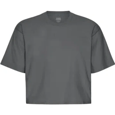 Shop Colorful Standard Lava Grey Organic Boxy Crop T-shirt