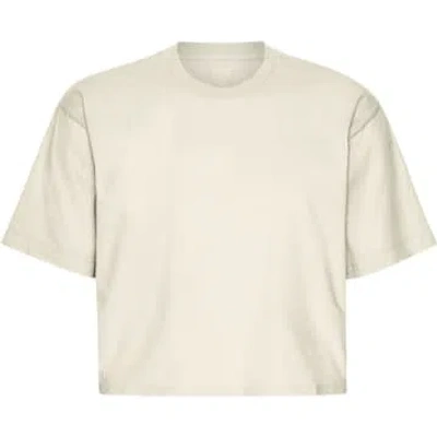 Shop Colorful Standard Ivory White Organic Boxy Crop T-shirt