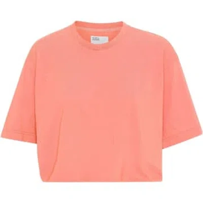 Shop Colorful Standard Bright Coral Organic Boxy Crop T-shirt In Pink
