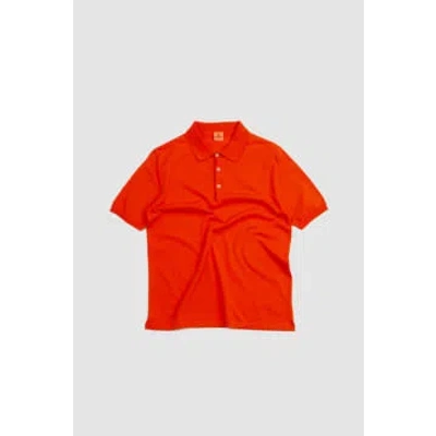 Shop Andersen-andersen Polo Short Orange