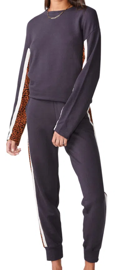 Shop Monrow Paneled Mini Leopard Sweatpants In Faded Black In Purple