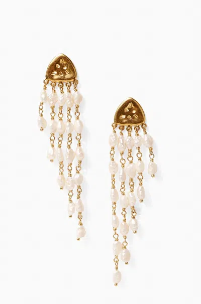Shop Chan Luu Bolide Earrings White Pearl In Gold